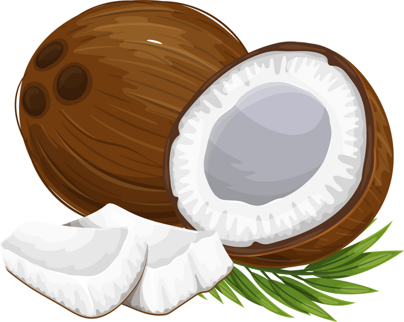 Coconuts and Pieces of Coconut